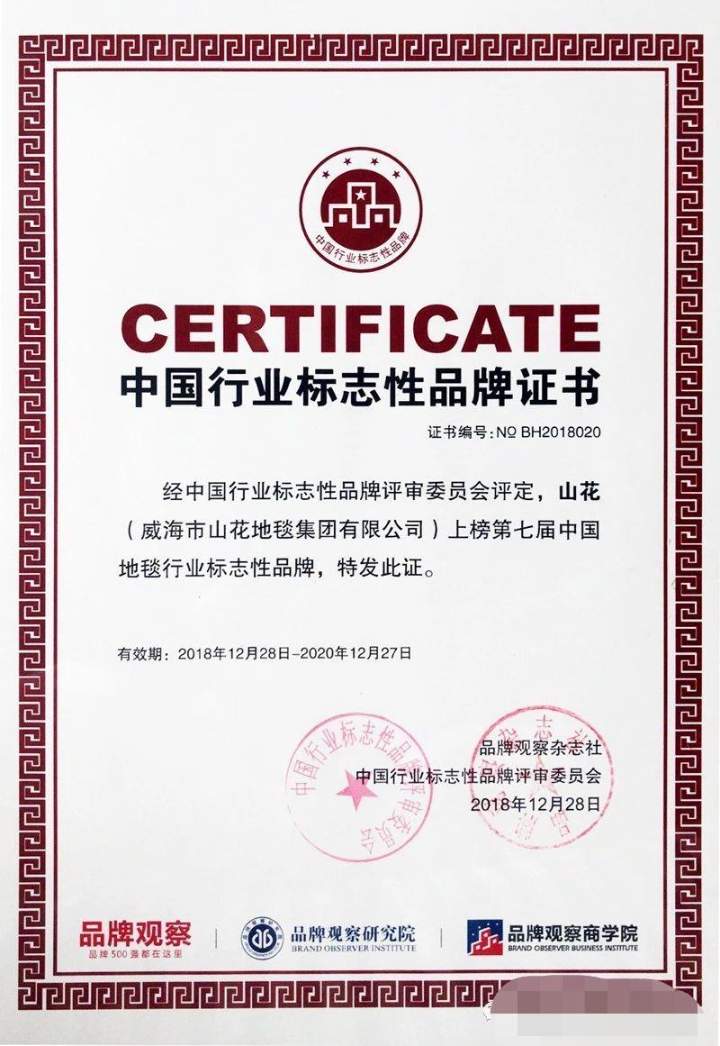行业标志性品牌证书
