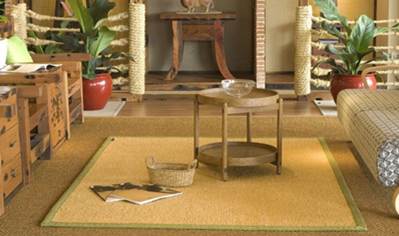 地毯清洗该用那种清洗剂呢？